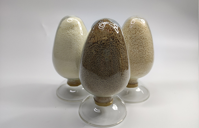 ion exchange resin