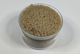 D005 Catalyst Resin