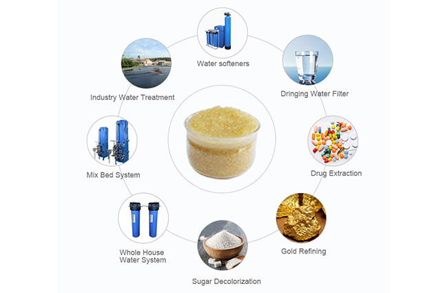 strong acid cation exchange resin