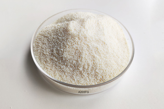 anion exchange resin