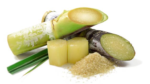 cane-sugar-decolorization