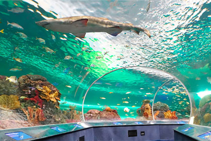 ion-exchange-resin-for-aquarium